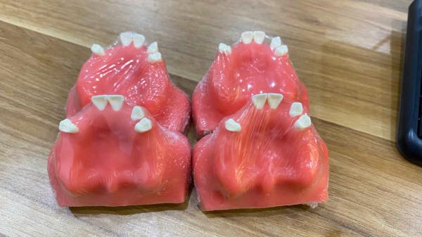 Mô Hình Thực Hành Cơ Bản Cấy Ghép Implant