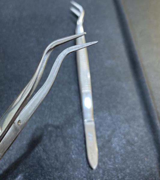 Kẹp gắp đẹp AR